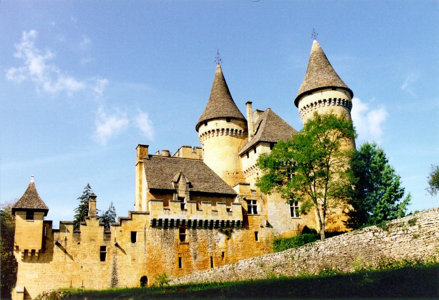 Le château de Puymartin