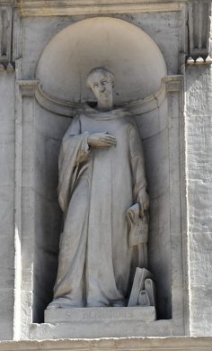 Saint Bernard dans sa niche.