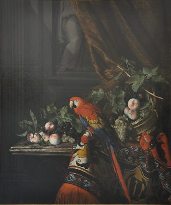«Nature morte au perroquet» de van Roye (1654-1725),